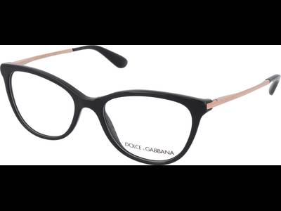 Dolce & Gabbana DG 3258 501
