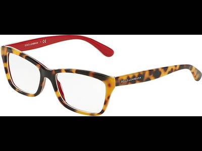 Dolce & Gabbana DG3215 2893