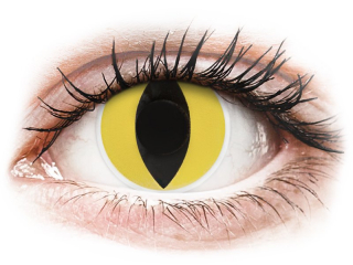 ColourVUE Crazy Lens - Cat Eye - dioptria nélkül (2 db lencse)