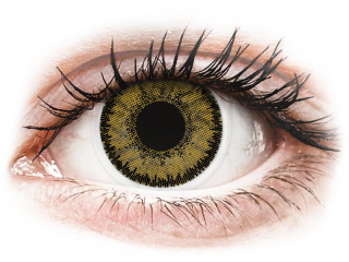 SofLens Natural Colors Dark Hazel - dioptriával (2 db lencse) - Coloured contact lenses