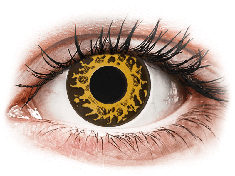 CRAZY LENS - Cheetah - dioptria nélkül napi lencsék (2 db lencse) - Coloured contact lenses