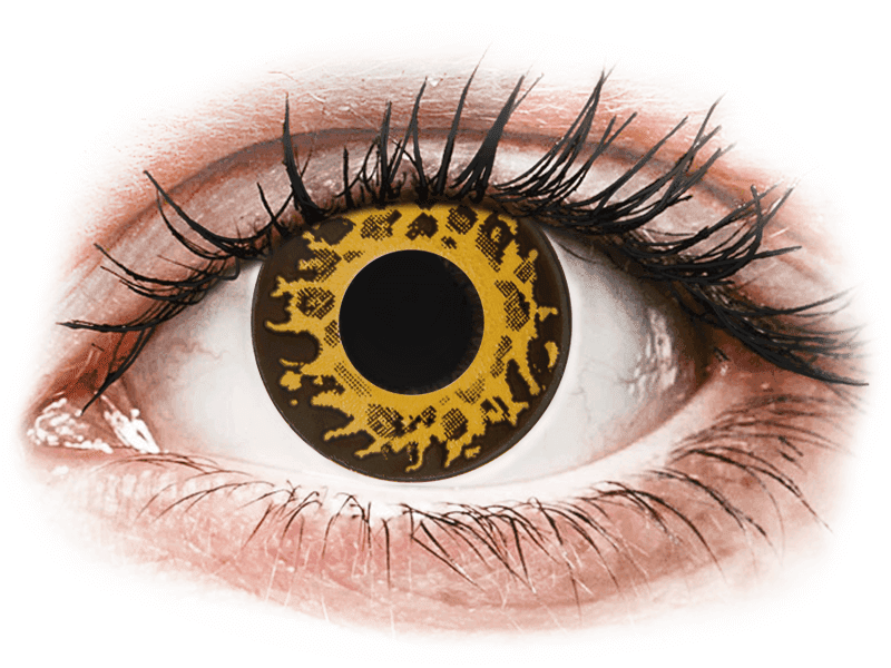 CRAZY LENS - Cheetah - dioptria nélkül napi lencsék (2 db lencse) - Coloured contact lenses