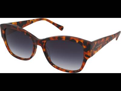 Hawkers Bhanu - Tortoise