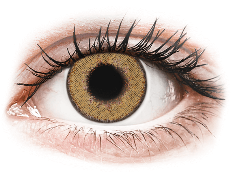 TopVue Daily Color - Honey - dioptriával napi lencsék (2 db lencse) - Coloured contact lenses