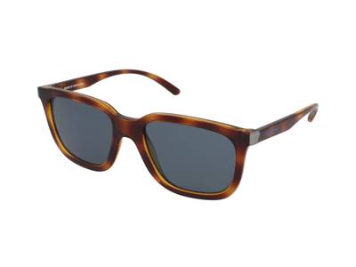 Napszemüvegek Arnette Plaka AN4306 27702V